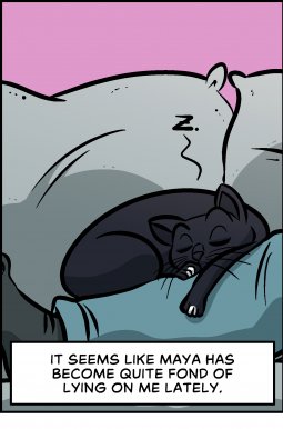 Piece of Me. A webcomic about napping cats and personal space.