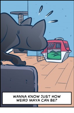 Piece of Me. A webcomic about cats in transport boxes.